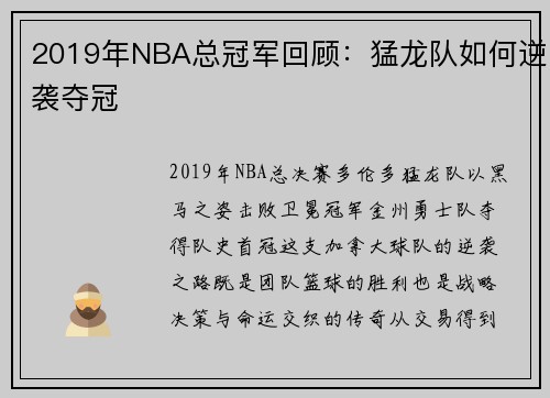 2019年NBA总冠军回顾：猛龙队如何逆袭夺冠